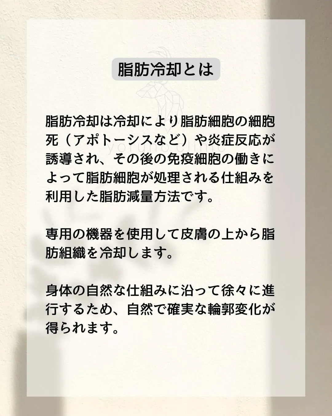 脂肪冷却は脂肪細胞が低温により排出される性質を利用したボディ...